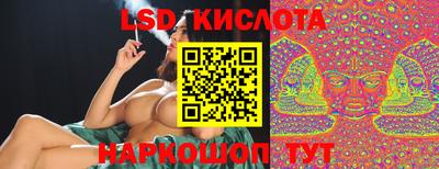 дживик Шелехов