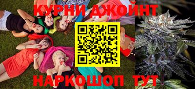 дживик Шелехов