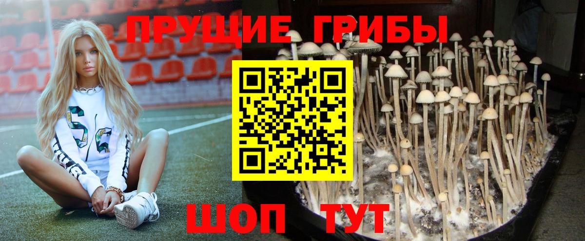 Псилоцибиновые грибы Magic Shrooms  Галлюциногенные грибы Psilocybe  Бугуруслан  Вход с VPN 